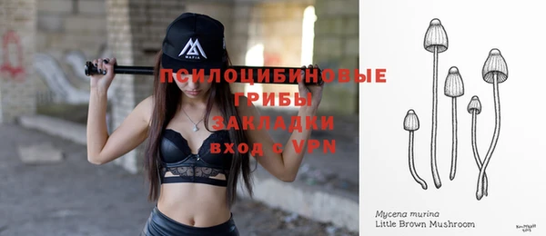 героин Абаза