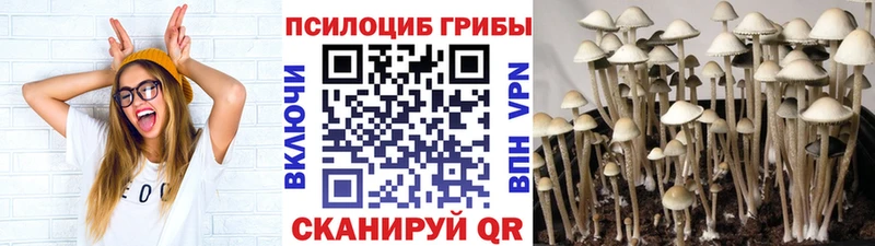 Псилоцибиновые грибы Magic Shrooms Белая Калитва